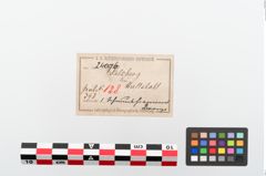 Etiketten zu Klapperblechanhänger (NHMW-PRAE-024096)